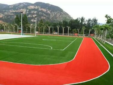 �˶��������ƺ����